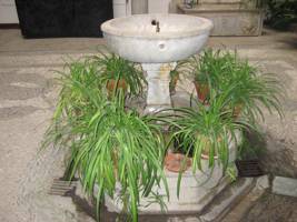 Fuente del patio del palacio de los Carvajales. Grabación de Alexandru M. Bandrabula